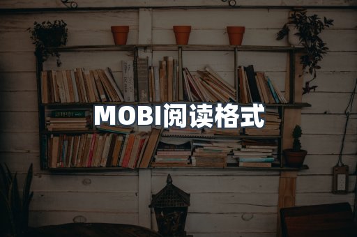 EPUB电子书
